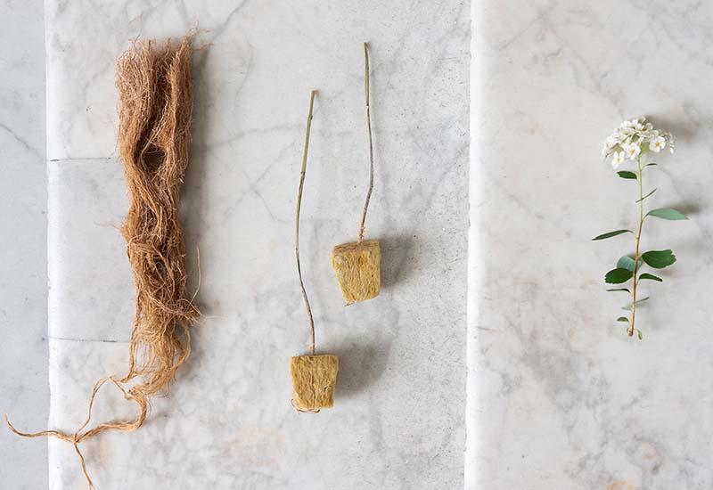 Projekt: To the Roots! | Projektantka: Anna Kavouras